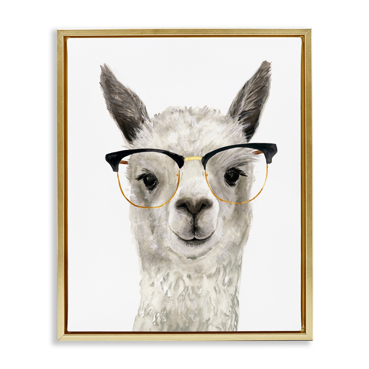 Stupell Industries Farm Animal Llama In Glasses Black Framed Floater Canvas Wall Art